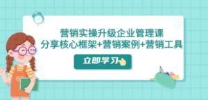 营销实操升级·企业管理课：分享核心框架+营销案例+营销工具-财仔梦想资源网