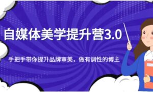 自媒体美学提升营3.0，手把手带你提升品牌审美，做有调性的博主-财仔梦想资源网
