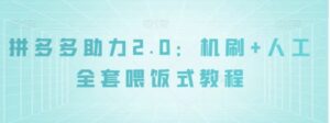 拼多多助力2.0：机刷+人工全套喂饭式教程【揭秘】-财仔梦想资源网