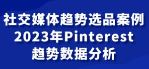 社交媒体趋势选品案例，2023年Pinterest趋势数据分析课-财仔梦想资源网