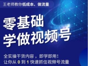 王老师教你低成本、做流量，零基础学做视频号，0-1快速抓住视频号流量-财仔梦想资源网
