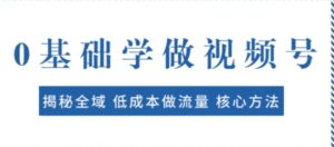 0基础学做视频号：揭秘全域低成本做流量核心方法快速出爆款轻松变现-财仔梦想资源网