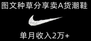 靠图文种草分享卖A货潮鞋，每天一小时，单月收入2万+【揭秘】-财仔梦想资源网
