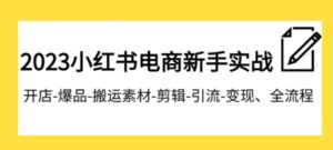 023小红书电商新手实战课程，开店-爆品-搬运素材-剪辑-引流-变现、全流程-财仔梦想资源网