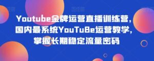 Youtube金牌运营直播训练营，国内最系统YouTuBe运营教学，掌握长期稳定流量密码-财仔梦想资源网