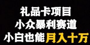 礼品卡项目，小众暴利赛道，保姆式教学-财仔梦想资源网