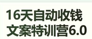 16天自动收钱文案特训营6.0，学会儿每天自动咔咔收钱-财仔梦想资源网