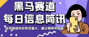 黑马赛道每日信息简讯，起号超级快自带流量大，通过视频号收益【揭秘】-财仔梦想资源网