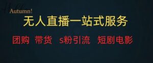 无人直播全套服务，变现稳定-财仔梦想资源网