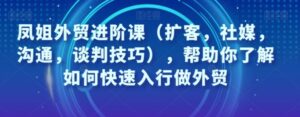 凤姐外贸进阶课，帮助你了解如何快速入行做外贸-财仔梦想资源网
