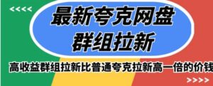 最新夸克网盘群组拉新，高收益群组拉新比普通夸克拉新高一倍的价钱-财仔梦想资源网