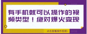 有手机就可以操作的视频类型！绝对爆火变现-财仔梦想资源网