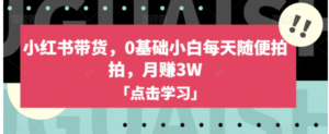 小红书带货，0基础小白每天随便拍拍，月赚3W【揭秘】-财仔梦想资源网
