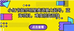 小红书娱乐明星赛道暴力起号，蓝海项目，难度低变现快【揭秘】-财仔梦想资源网