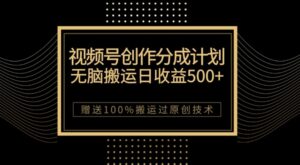 最新视频号创作分成计划，无脑搬运一天收益500+，100%搬运过原创技巧-财仔梦想资源网