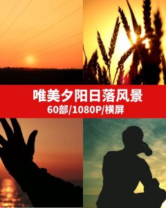 唯美夕阳日落风景视频素材--财仔梦想资源网