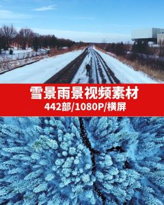 雪景雨景视频素材-财仔梦想资源网