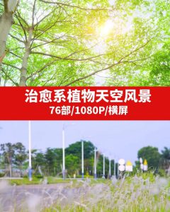 治愈系植物天空风景视频素材-财仔梦想资源网