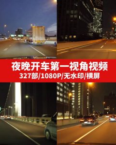 夜晚开车第一视角视频素材（一）–-财仔梦想资源网