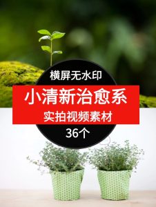 小清新治愈系高清视频素材--财仔梦想资源网