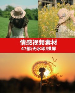 情感励志视频素材-财仔梦想资源网