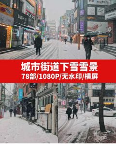 城市街道下雪雪景视频素材-财仔梦想资源网