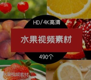水果视频素材-财仔梦想资源网