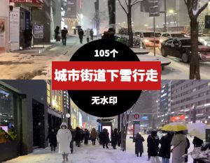 城市街道下雪天路人行走视频素材-财仔梦想资源网