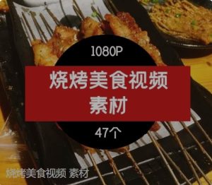 烧烤美食视频素材-财仔梦想资源网