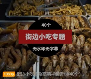 街边小吃美食高清视频素材(40个）-财仔梦想资源网