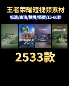 抖音快手王者荣耀游戏短视频素材-财仔梦想资源网