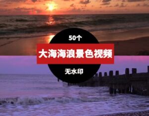 大海海浪沙滩风景视频素材-财仔梦想资源网