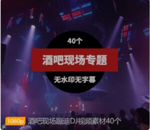 酒吧现场蹦迪DJ视频素材40个-财仔梦想资源网