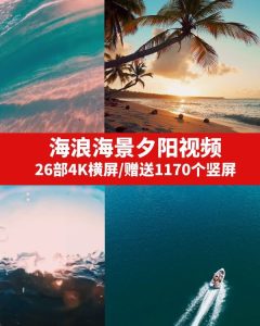 海浪海景夕阳视频素材-财仔梦想资源网