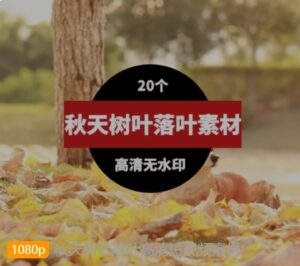 秋天树木落叶高清短视频素材-财仔梦想资源网