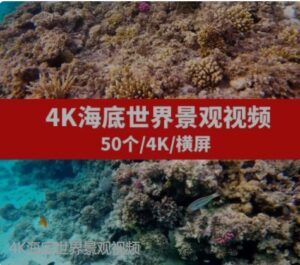 4K海底世界景观视频-财仔梦想资源网