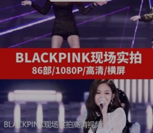 BLACKPINK现场实拍高清视频-财仔梦想资源网