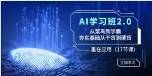 AI学习班2.0：从菜鸟到学霸，夯实基础从干货到硬货，重在应用-财仔梦想资源网