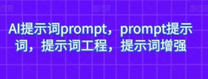 AI提示词prompt，prompt提示词，提示词工程，提示词增强-财仔梦想资源网