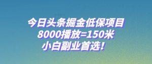 今日头条掘金低保项目，8000播放=150米，小白副业首选【揭秘】-财仔梦想资源网
