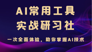 AI常用工具实战研习社，一次全面体验，助你掌握AI技术-财仔梦想资源网