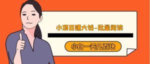 小项目赚大钱《批量阅读》小白一天几百块-财仔梦想资源网