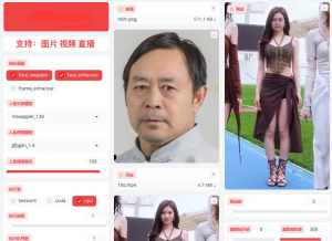 单图换脸FaceFusion2.2.1解压即用N卡整合版-财仔梦想资源网