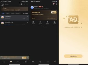迅雷v8.11最新SVIP版去广告解锁限速-财仔梦想资源网