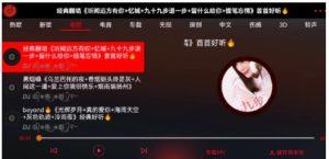 车载DJ，随心所欲畅听全网VIP资源-财仔梦想资源网