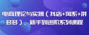 电商理论与实操，新手到进阶系列课程-财仔梦想资源网