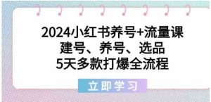 2024小红书养号+流量课：建号、养号、选品，5天多款打爆全流程-财仔梦想资源网