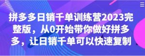 拼多多日销千单训练营2023完整版，从0开始带你做好拼多多，让日销千单可以快速复制-财仔梦想资源网
