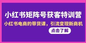 小红书-矩阵号获客特训营-第10期，小红书电商的带货课，引流变现新商机-财仔梦想资源网