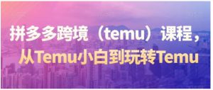 拼多多跨境课程，从Temu小白到玩转Temu-财仔梦想资源网